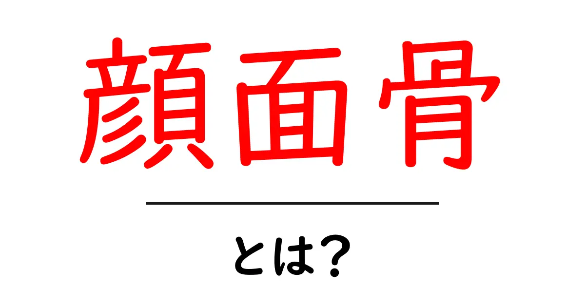 顔面骨とは?知っておきたい基本知識と機能共起語・同意語も併せて解説!