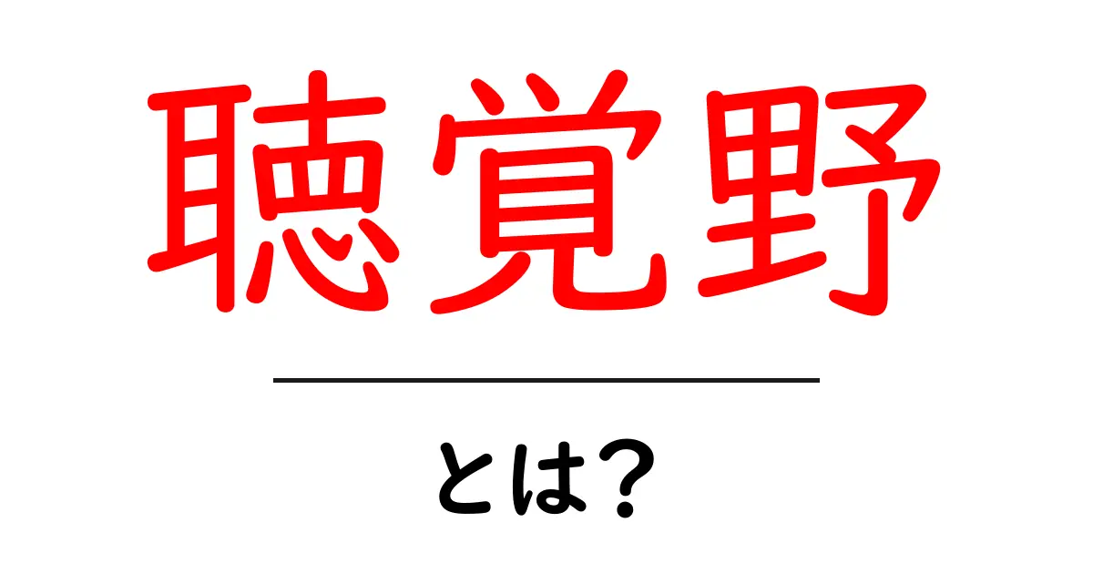 聴覚野とは?人間の音を感じる脳の場所をわかりやすく解説!共起語・同意語も併せて解説!