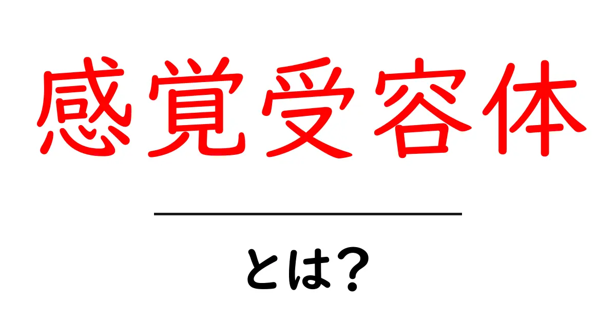 「感覚受容体」とは?私たちの体が感じる仕組みを解説!共起語・同意語も併せて解説!