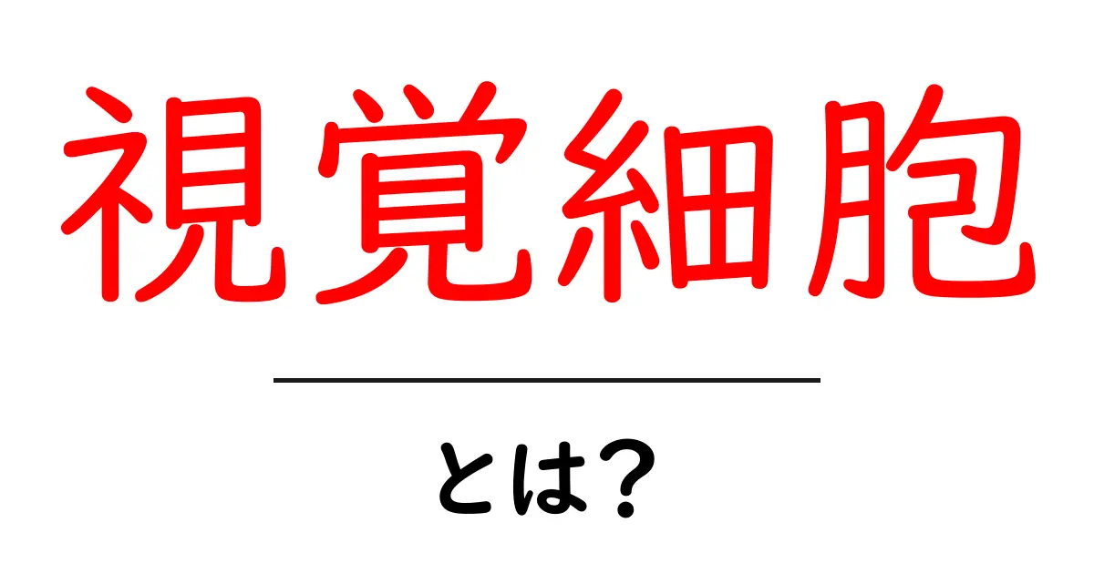 視覚細胞(しかくさいぼう)とは?目の仕組みを知ろう!共起語・同意語も併せて解説!