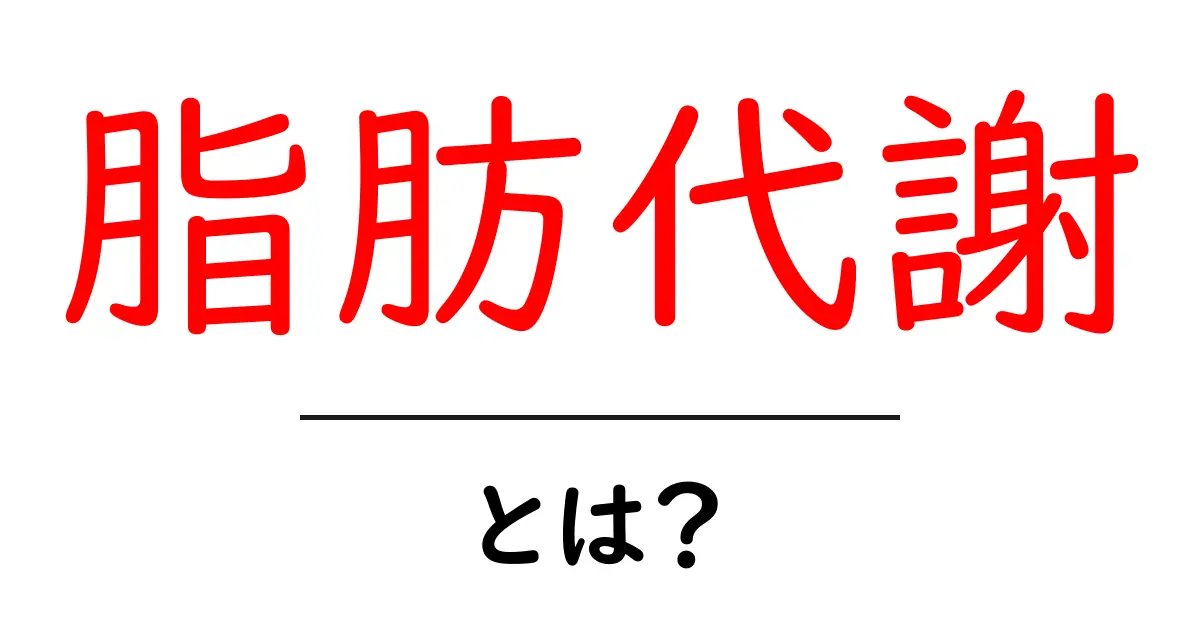 脂肪代謝とは?知っておきたい基本情報とその重要性共起語・同意語も併せて解説!