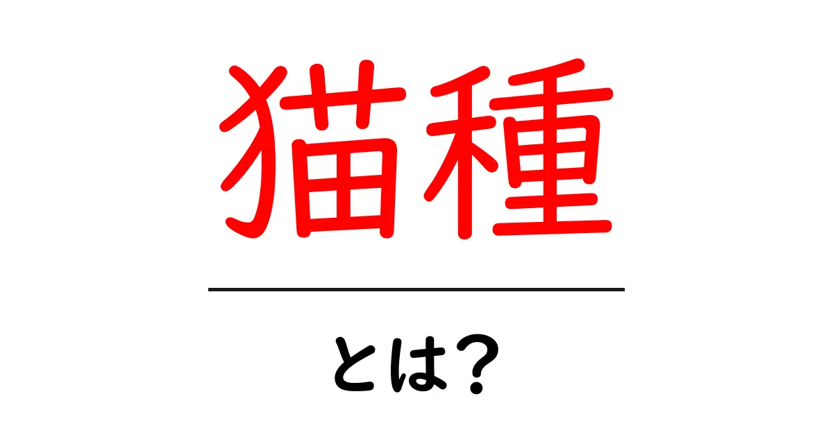猫種を知ろう！あなたにぴったりな猫の種類とは？共起語・同意語も併せて解説！
