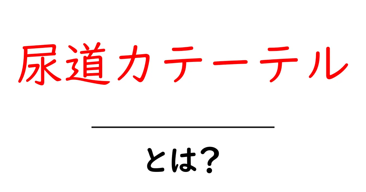 尿道カテーテルとは? 誰でもわかる基本ガイド共起語・同意語も併せて解説!