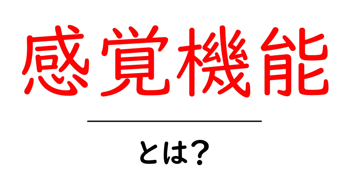 感覚機能とは?知っておきたい基本情報とその重要性共起語・同意語も併せて解説!