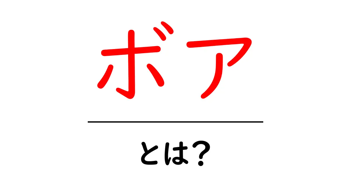 ボアとは?その意味や用途をわかりやすく解説!共起語・同意語も併せて解説!