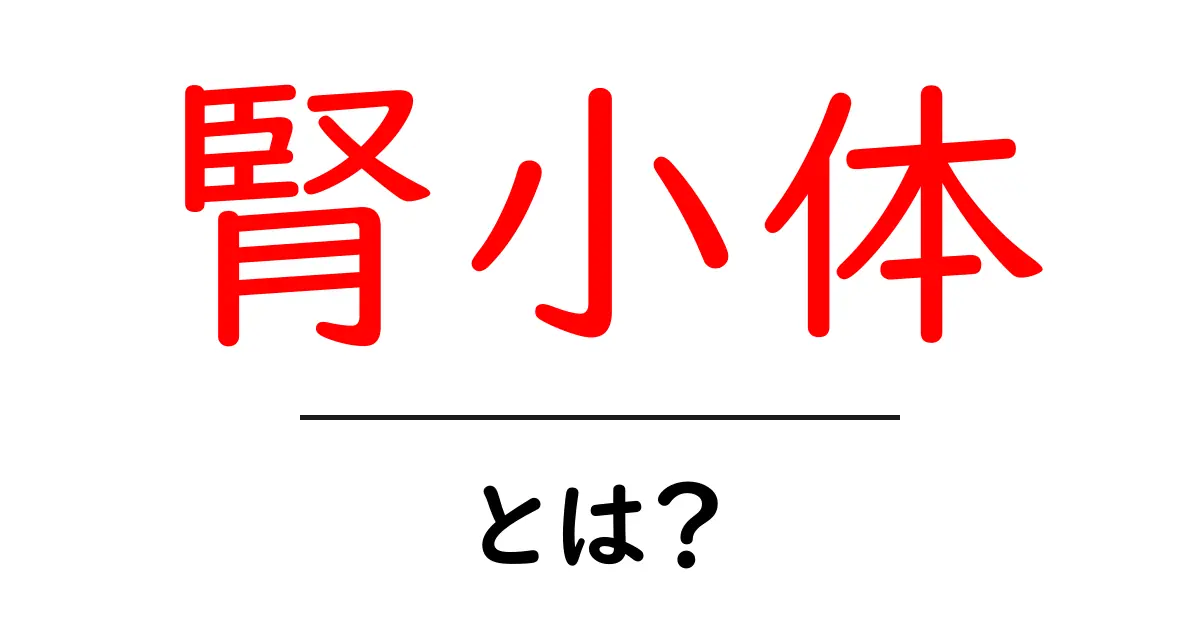腎小体とは?その役割と健康への影響をわかりやすく解説!共起語・同意語も併せて解説!
