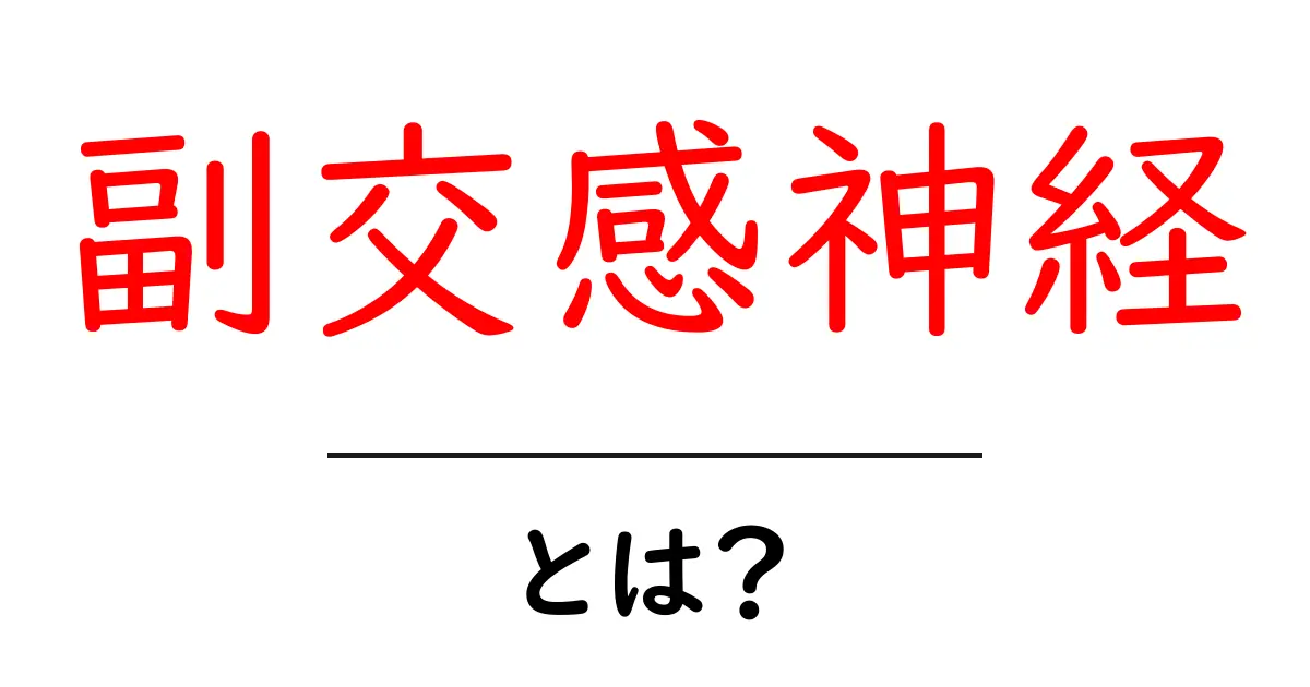 副交感神経とは?体と心をリラックスさせるシステムをわかりやすく解説!共起語・同意語も併せて解説!