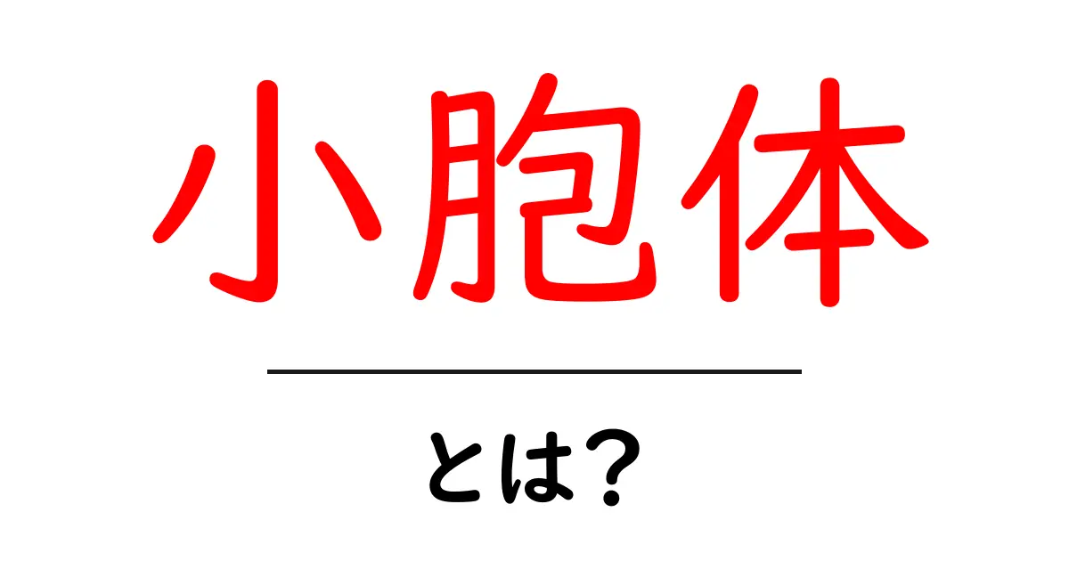 小胞体とは?生命の基本機能を支える細胞内の役割を解説!共起語・同意語も併せて解説!