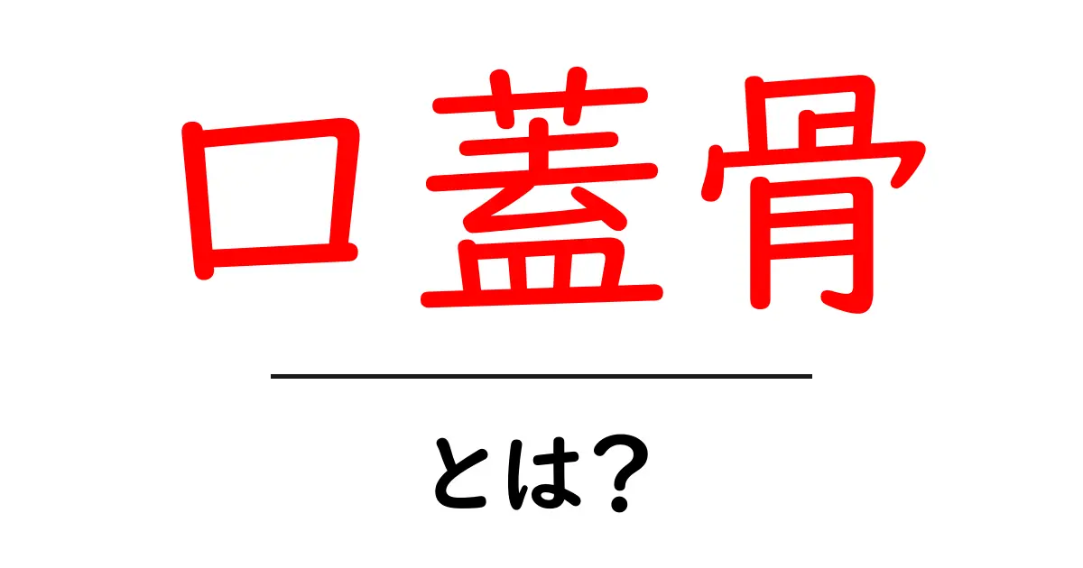 口蓋骨って何?私たちの体の中の隠れた骨を知ろう!共起語・同意語も併せて解説!
