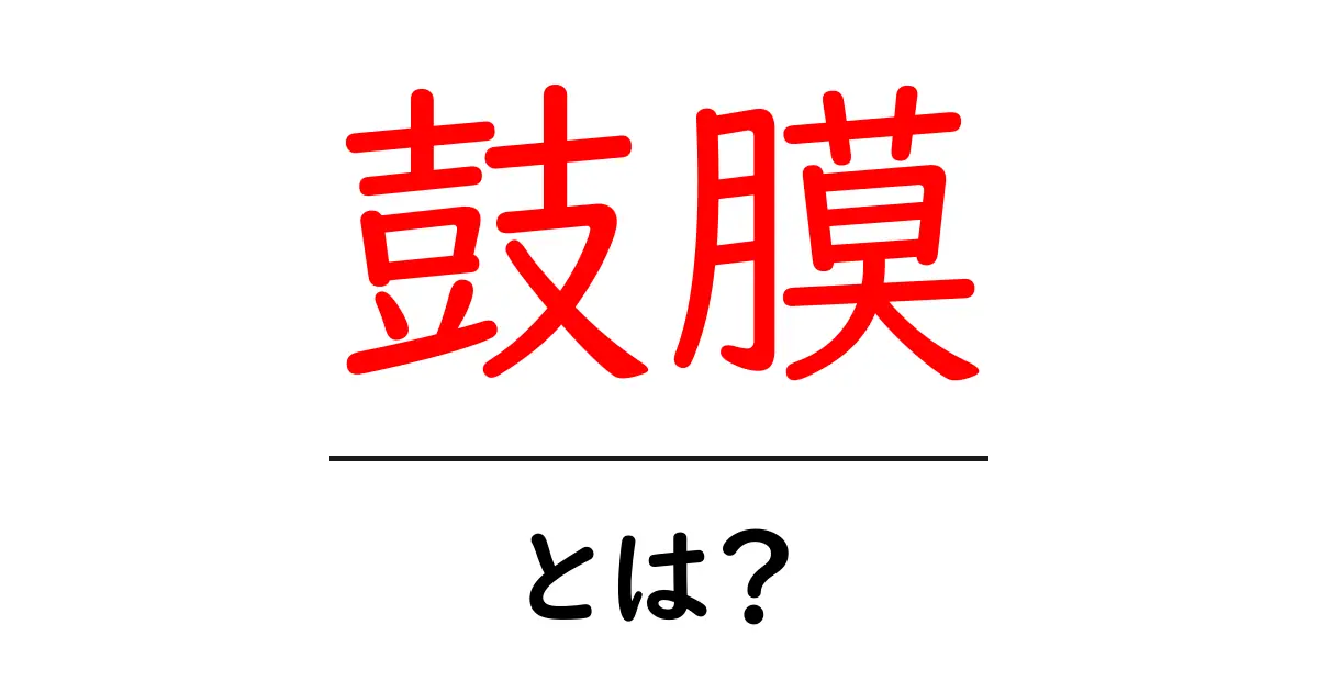 鼓膜とは?人間の耳の重要な部分を知ろう!共起語・同意語も併せて解説!
