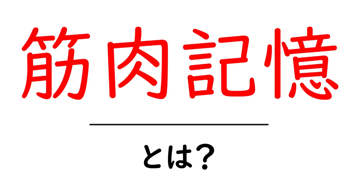筋肉記憶とは？あなたの体が持つすごい能力を知ろう！共起語・同意語も併せて解説！