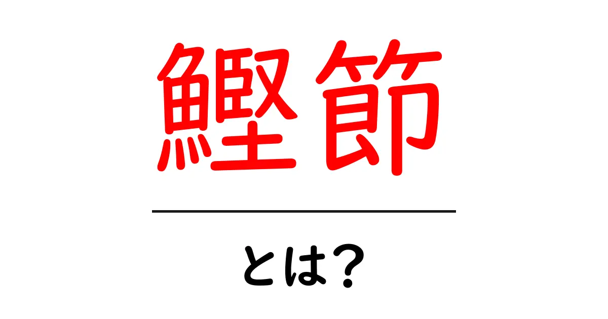 鰹節とは?その魅力と使い方を初心者向けに解説共起語・同意語も併せて解説!