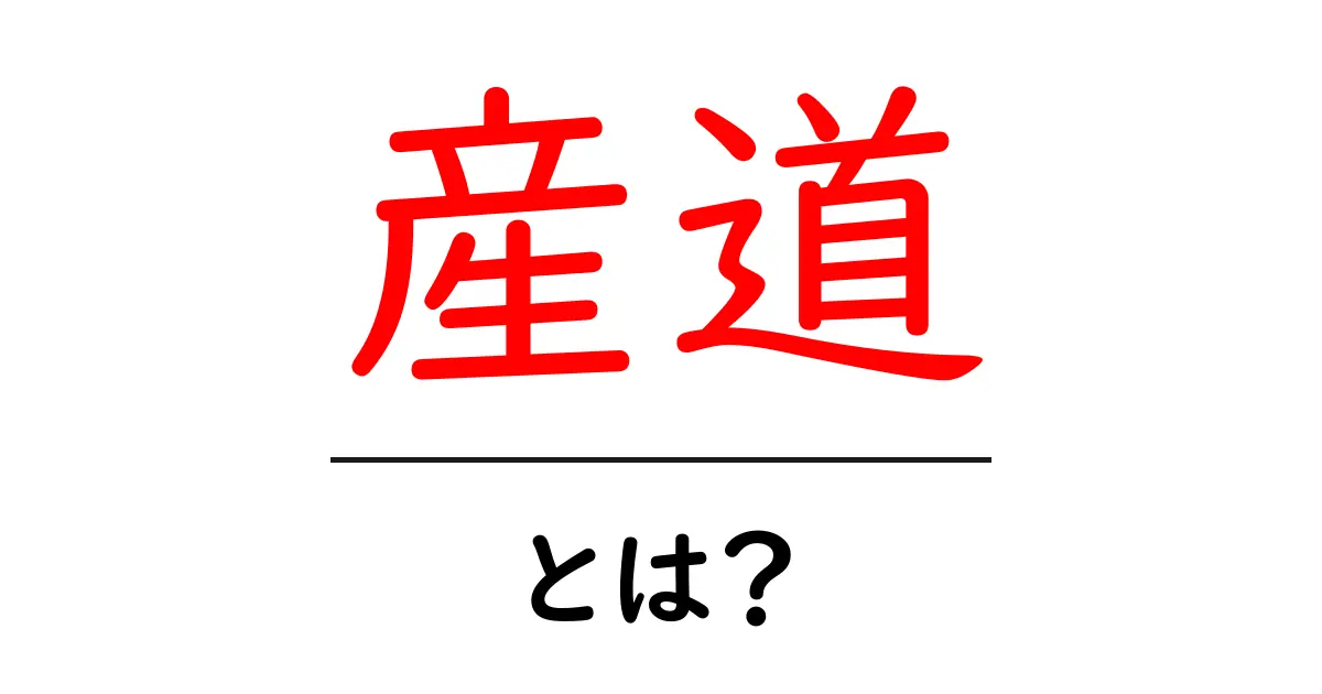 産道とは?出産の大切な通り道をわかりやすく解説!共起語・同意語も併せて解説!