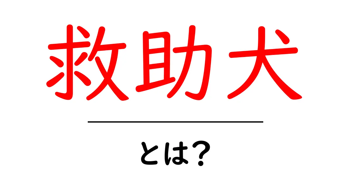 救助犬とは? 彼らの役割と活躍を知ろう!共起語・同意語も併せて解説!