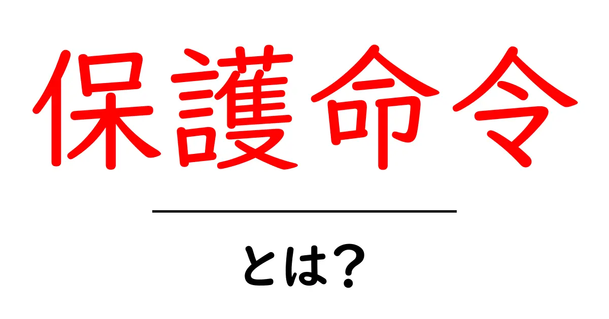 保護命令とは?知っておくべき基本情報とその効果共起語・同意語も併せて解説!