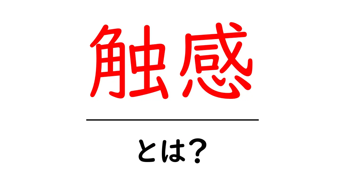 触感とは？日常生活での大切な役割と面白い事例共起語・同意語も併せて解説！