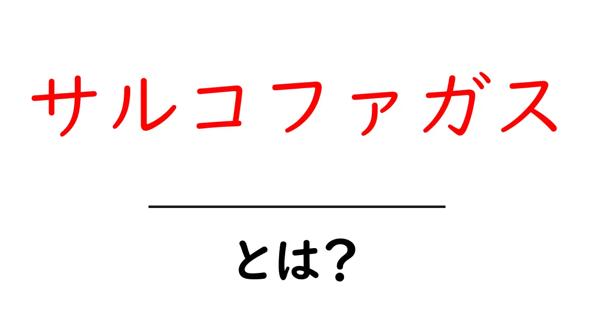 サルコファガスとは?その意味や歴史を簡単解説!共起語・同意語も併せて解説!