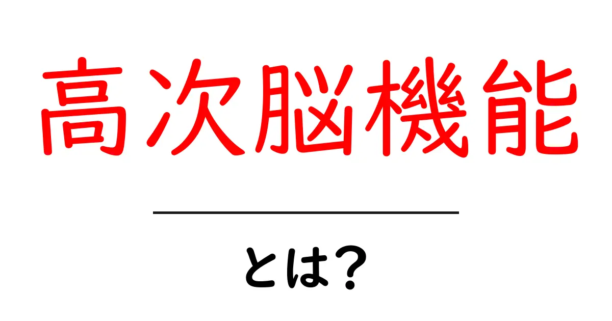 高次脳機能とは何か?私たちの思考の仕組みを解説!共起語・同意語も併せて解説!