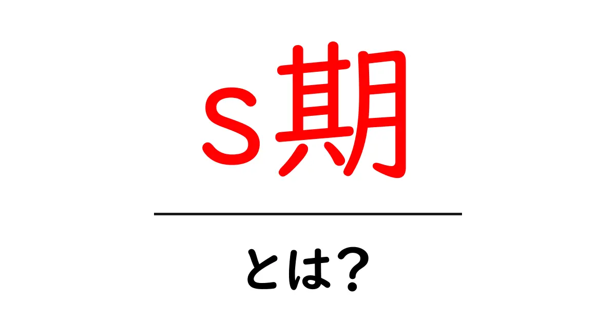 s期とは?その意味と重要性を簡単に解説共起語・同意語も併せて解説!
