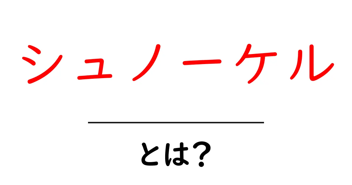 シュノーケルとは?初心者でもわかる楽しみ方と注意点共起語・同意語も併せて解説!