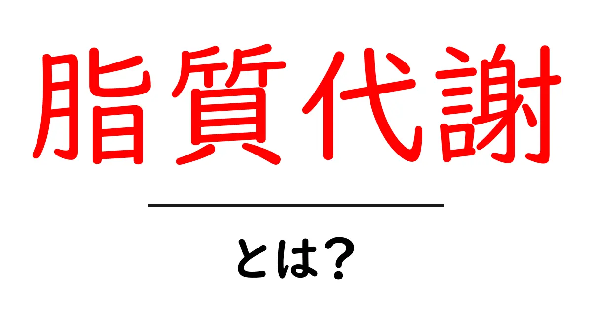 脂質代謝とは?体のエネルギー源を理解しよう!共起語・同意語も併せて解説!