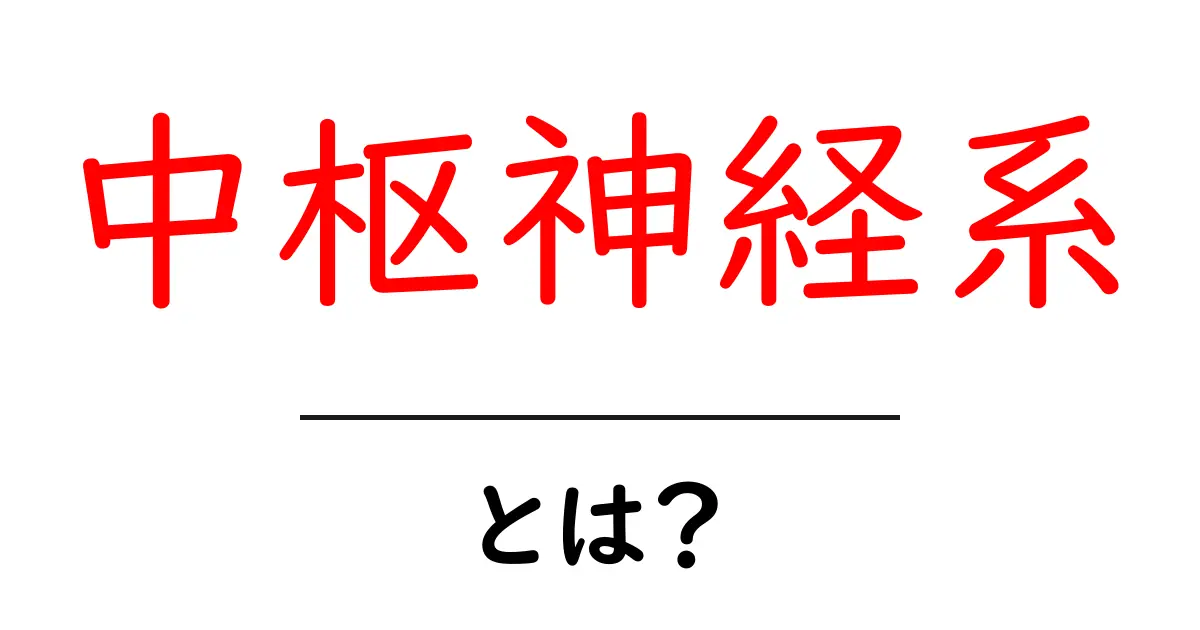 中枢神経系とは?私たちの体を支える大事な仕組みを解説!共起語・同意語も併せて解説!