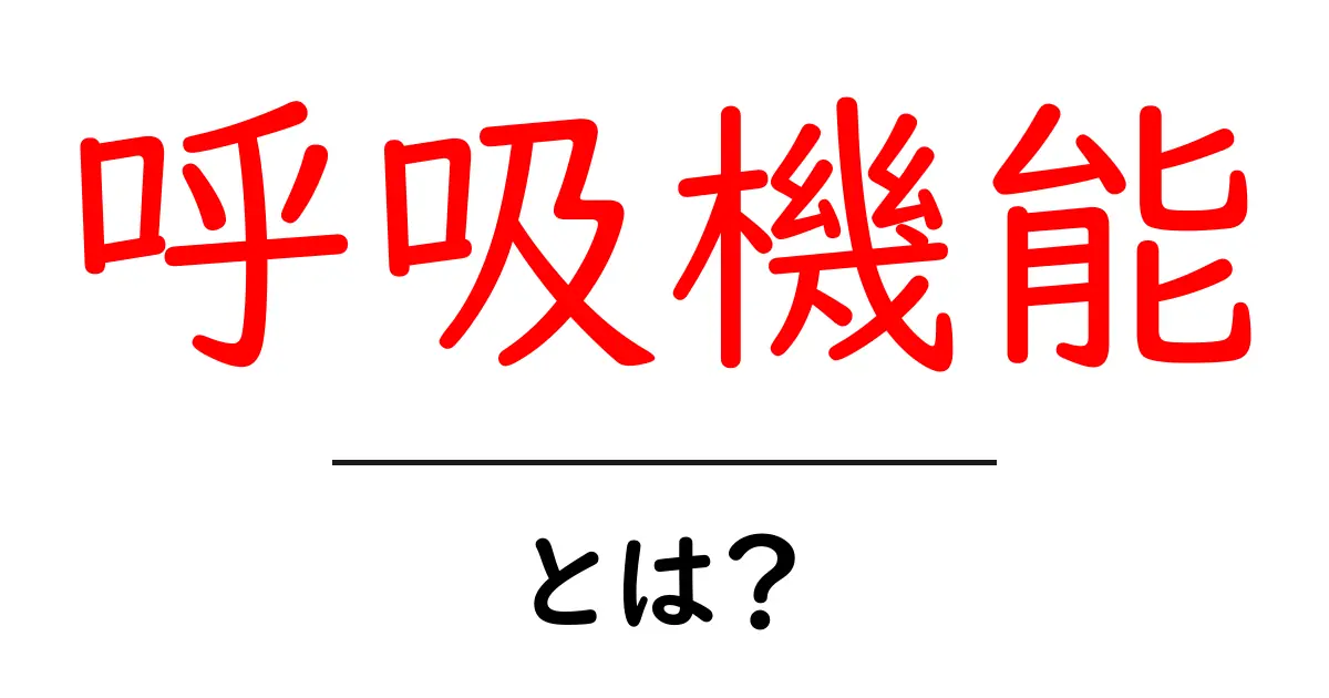 呼吸機能とは?その重要性と日常生活への影響をわかりやすく解説!共起語・同意語も併せて解説!