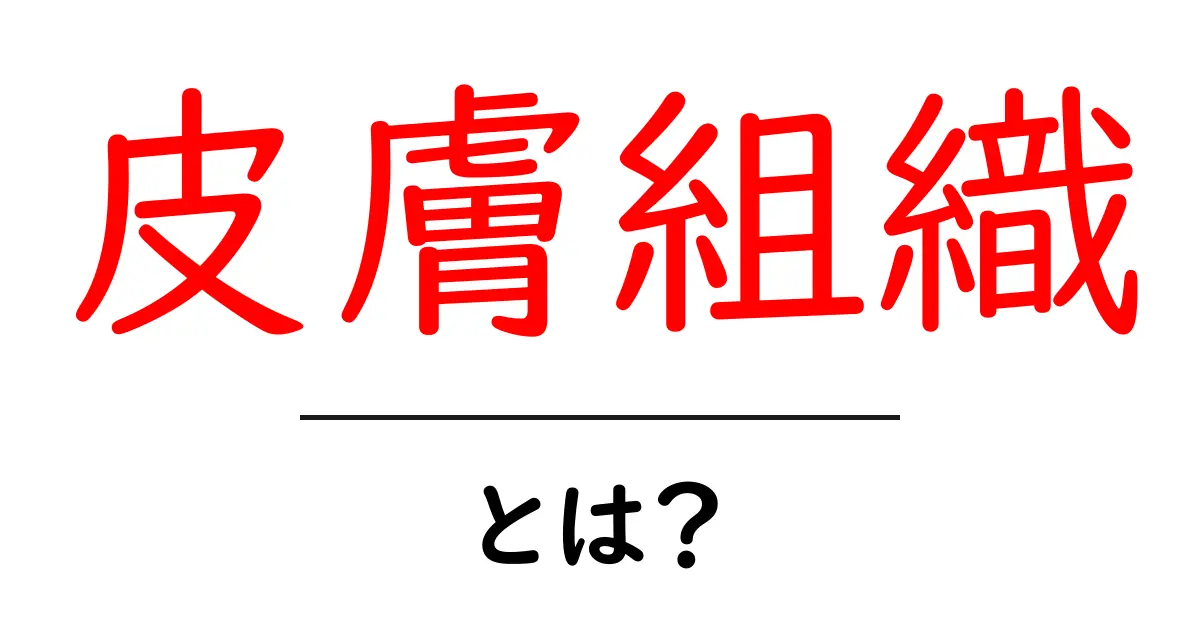 皮膚組織とは?私たちの体を守る大切な役割共起語・同意語も併せて解説!
