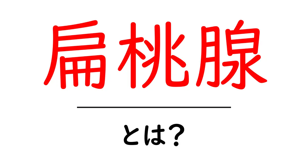 扁桃腺とは?その役割や健康への影響を分かりやすく解説共起語・同意語も併せて解説!