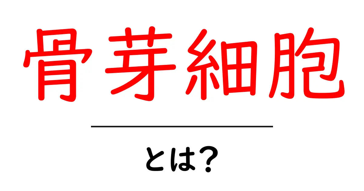 骨芽細胞とは?骨を作る重要な細胞の役割と働き共起語・同意語も併せて解説!