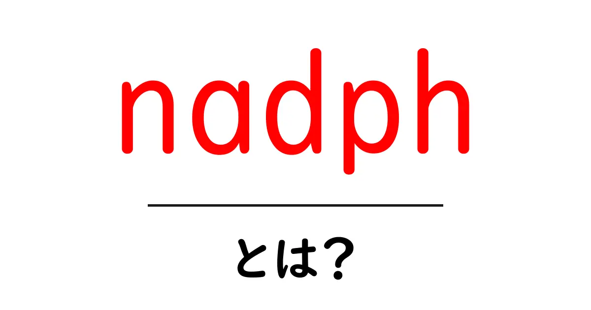 NADPHとは?私たちの体に必要なエネルギー源の秘密共起語・同意語も併せて解説!