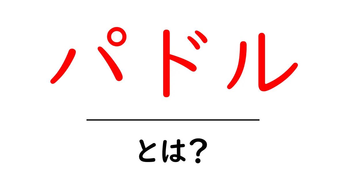 パドルとは?その使い方や種類を徹底解説!共起語・同意語も併せて解説!