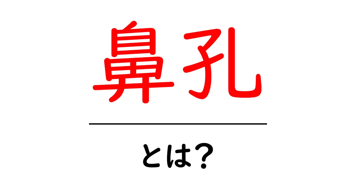 鼻孔とは?私たちの体における重要な役割を解説!共起語・同意語も併せて解説!