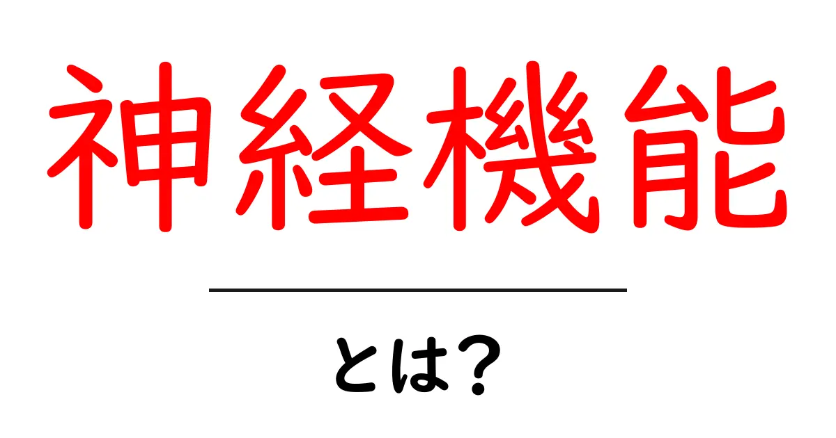 神経機能とは?私たちの体を支える大切な役割共起語・同意語も併せて解説!