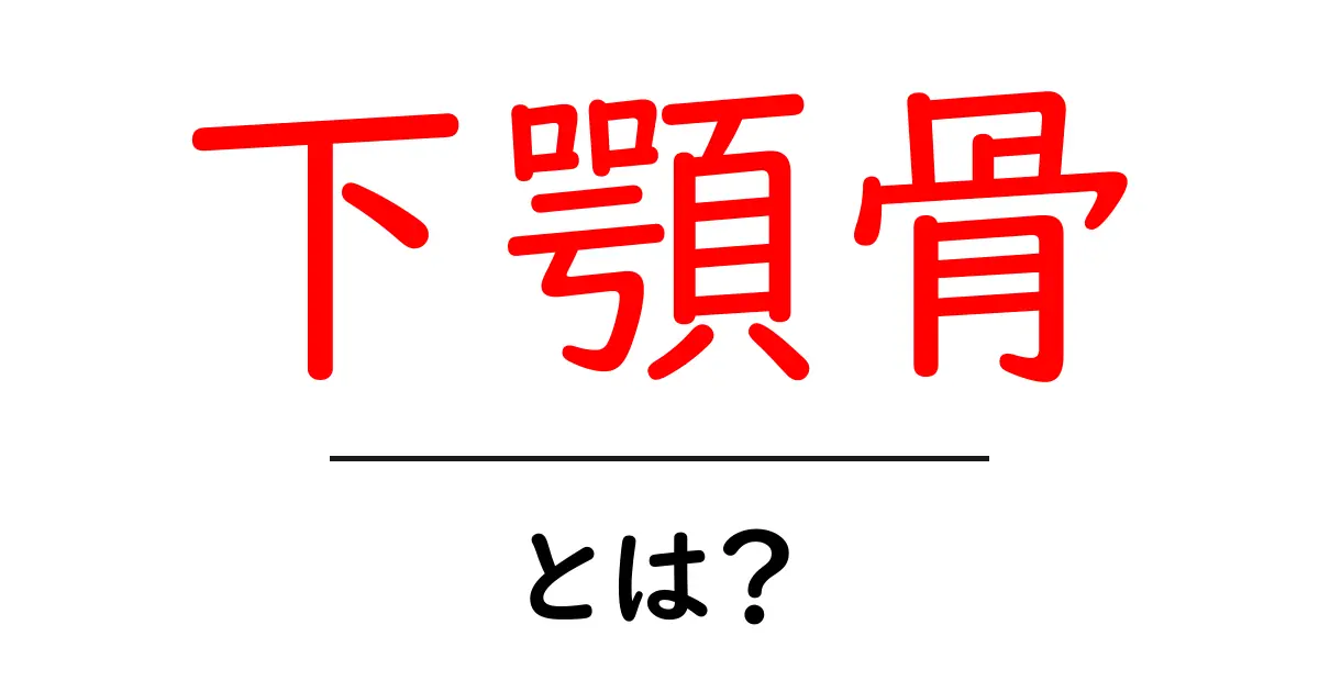下顎骨とは？基本から知るその役割と重要性共起語・同意語も併せて解説！