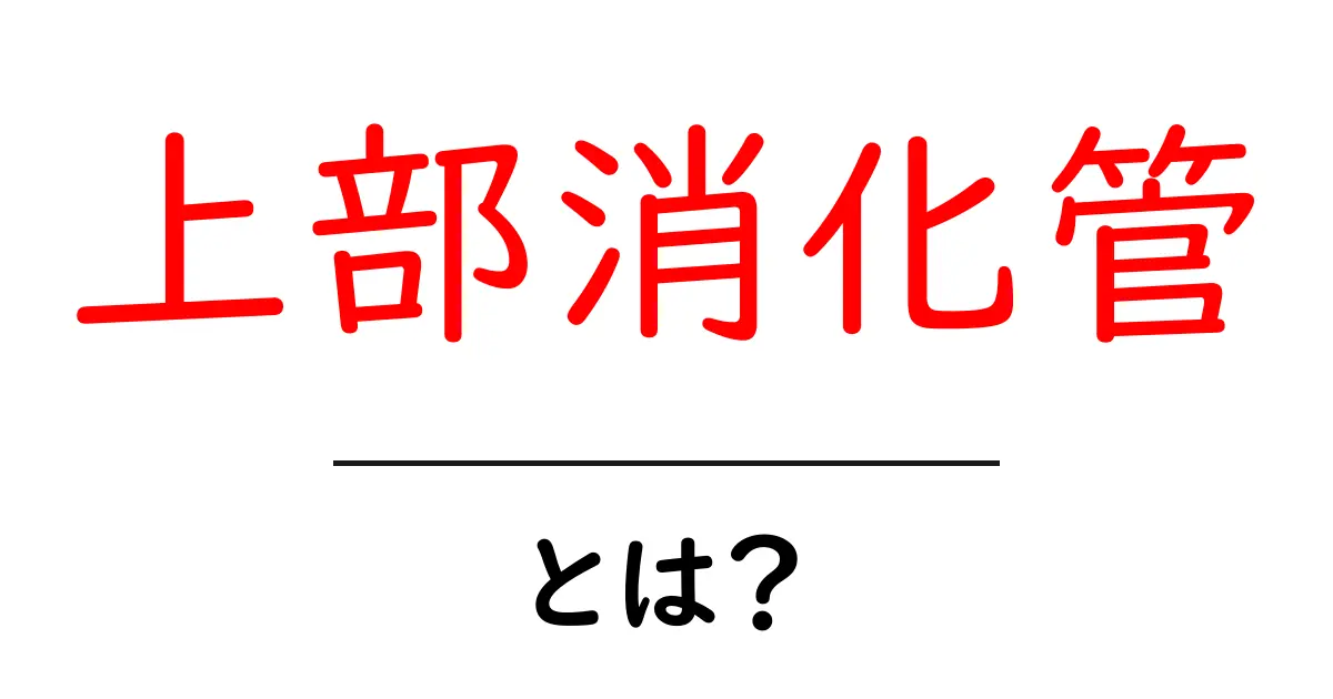 上部消化管とは?基本を知って健康を守ろう!共起語・同意語も併せて解説!