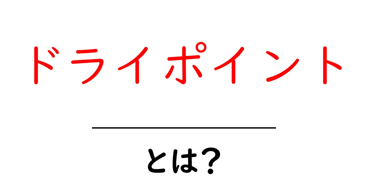 ドライポイントとは?初心者にもわかりやすく解説!共起語・同意語も併せて解説!