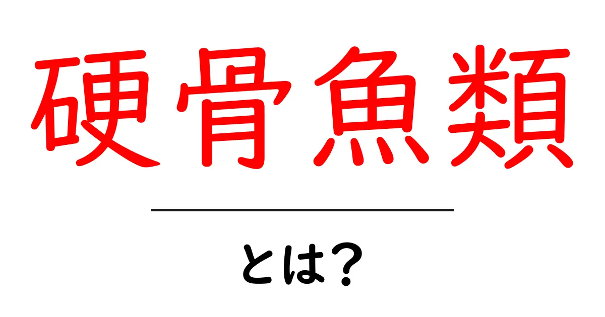 硬骨魚類とは？基本を知って海の仲間を理解しよう！共起語・同意語も併せて解説！