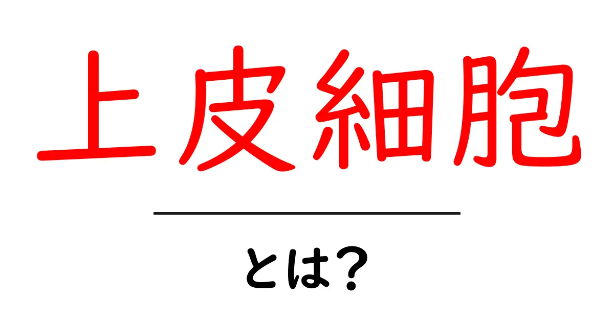 上皮細胞とは?その役割と重要性をわかりやすく解説!共起語・同意語も併せて解説!