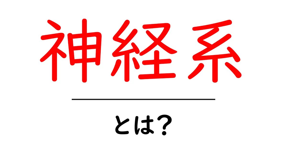 神経系とは？その働きや重要性をわかりやすく解説！共起語・同意語も併せて解説！