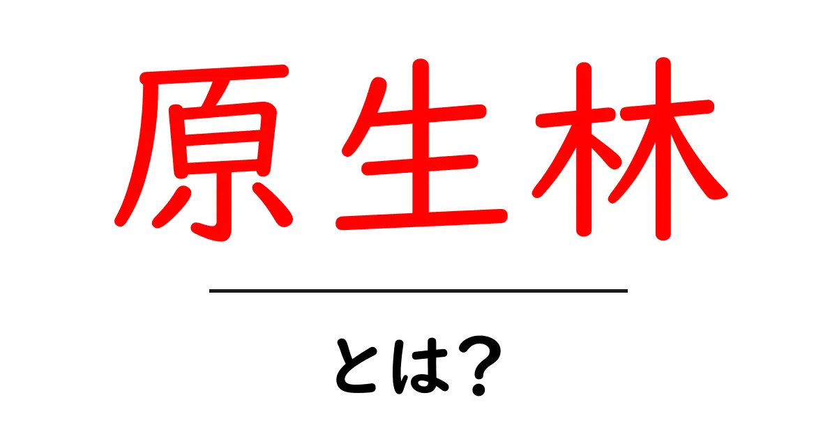 原生林とは?自然が織りなす美しい森に迫る!共起語・同意語も併せて解説!