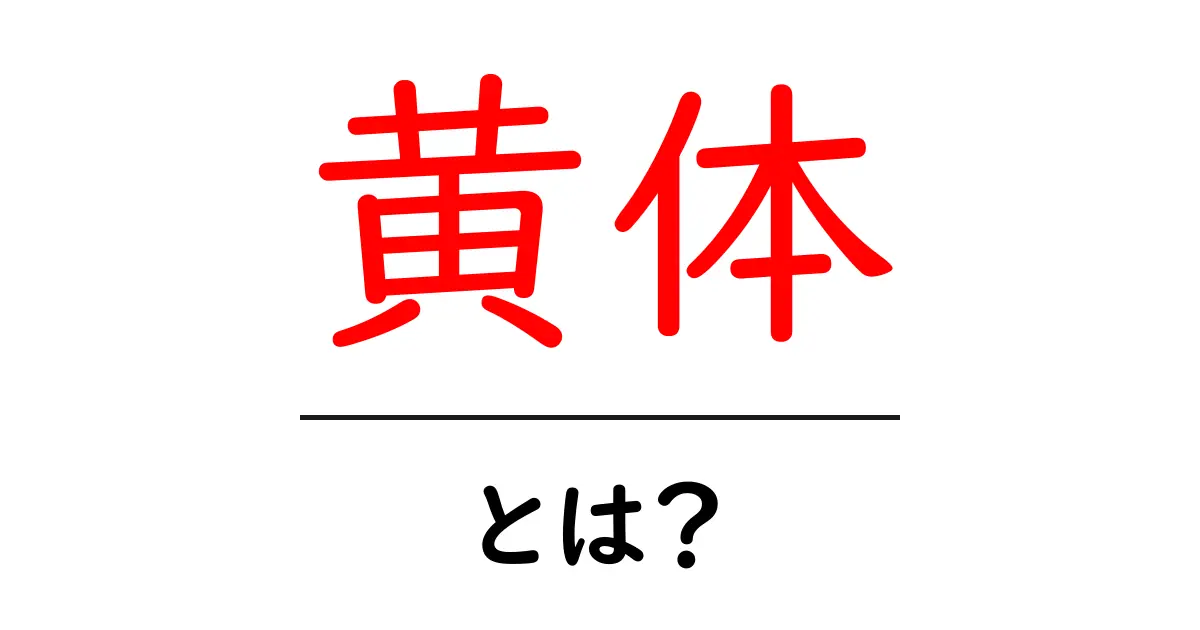 黄体とは?女性の体における重要な役割を解説!共起語・同意語も併せて解説!