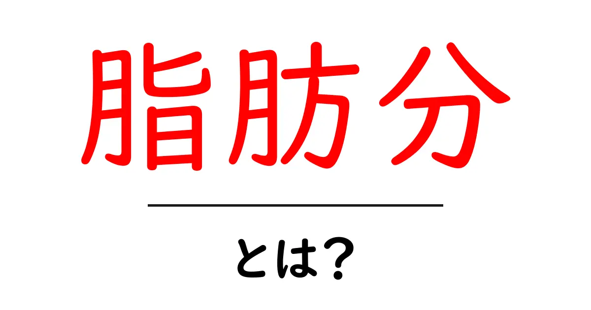 脂肪分とは?その役割と健康への影響を解説!共起語・同意語も併せて解説!