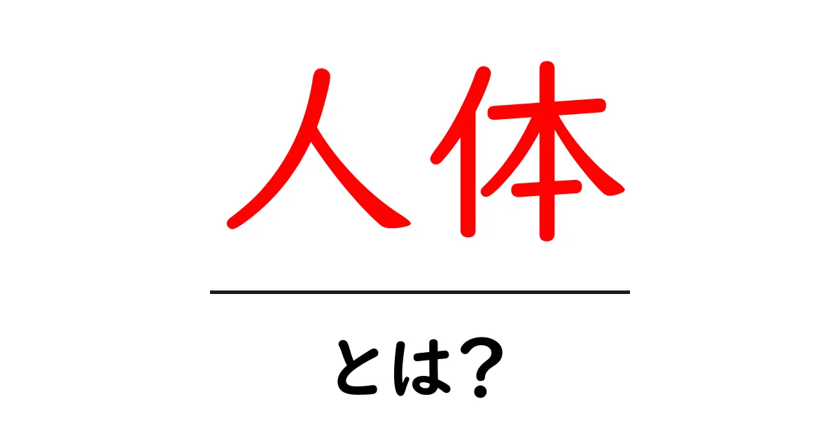 人体とは?驚くべき人間の体の仕組みを解説共起語・同意語も併せて解説!