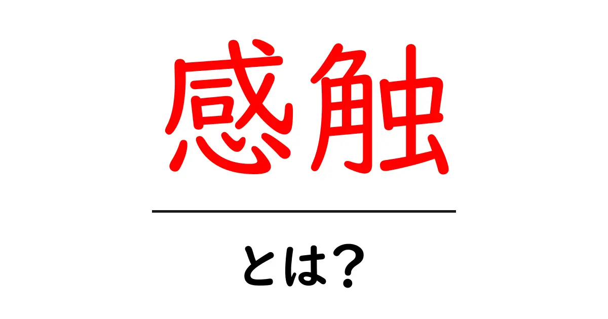 感触って何?私たちの日常に潜む感触の世界を探ろう!共起語・同意語も併せて解説!