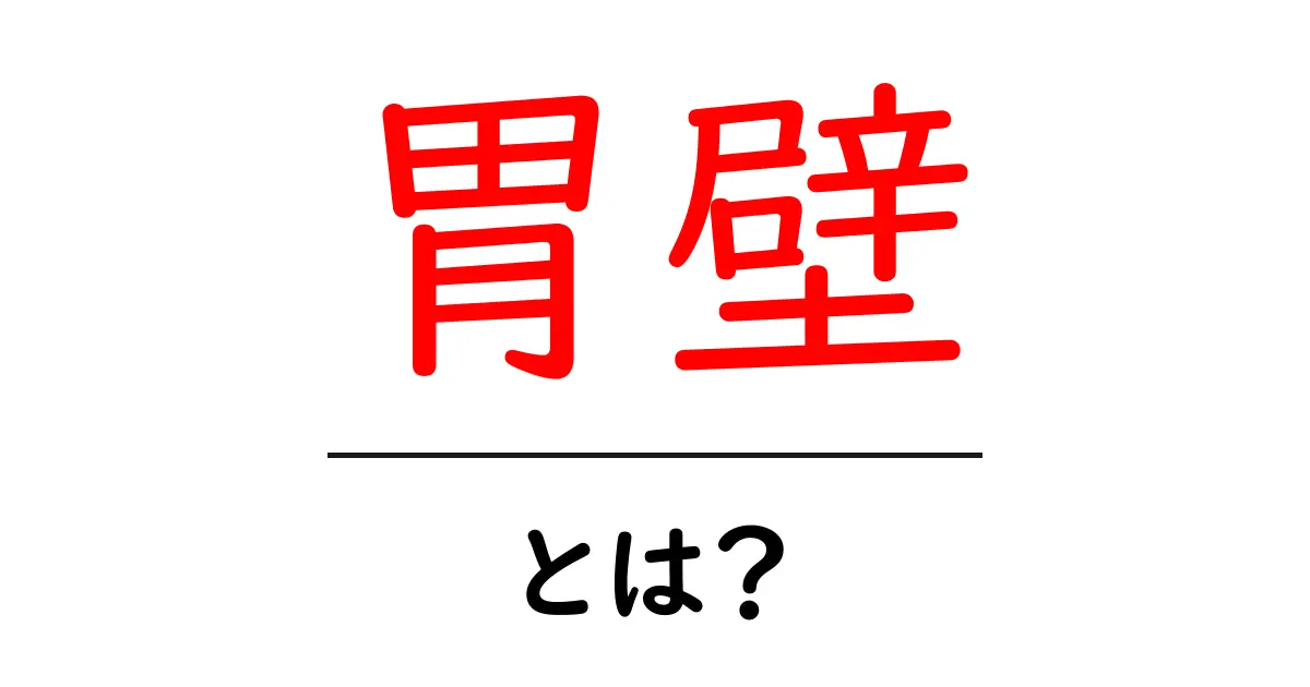 胃壁とは?その役割と健康への影響を解説共起語・同意語も併せて解説!