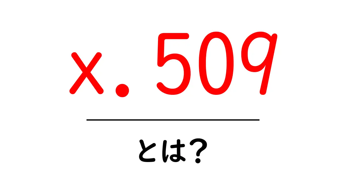 X.509とは?デジタル証明書の基礎をわかりやすく解説共起語・同意語も併せて解説!