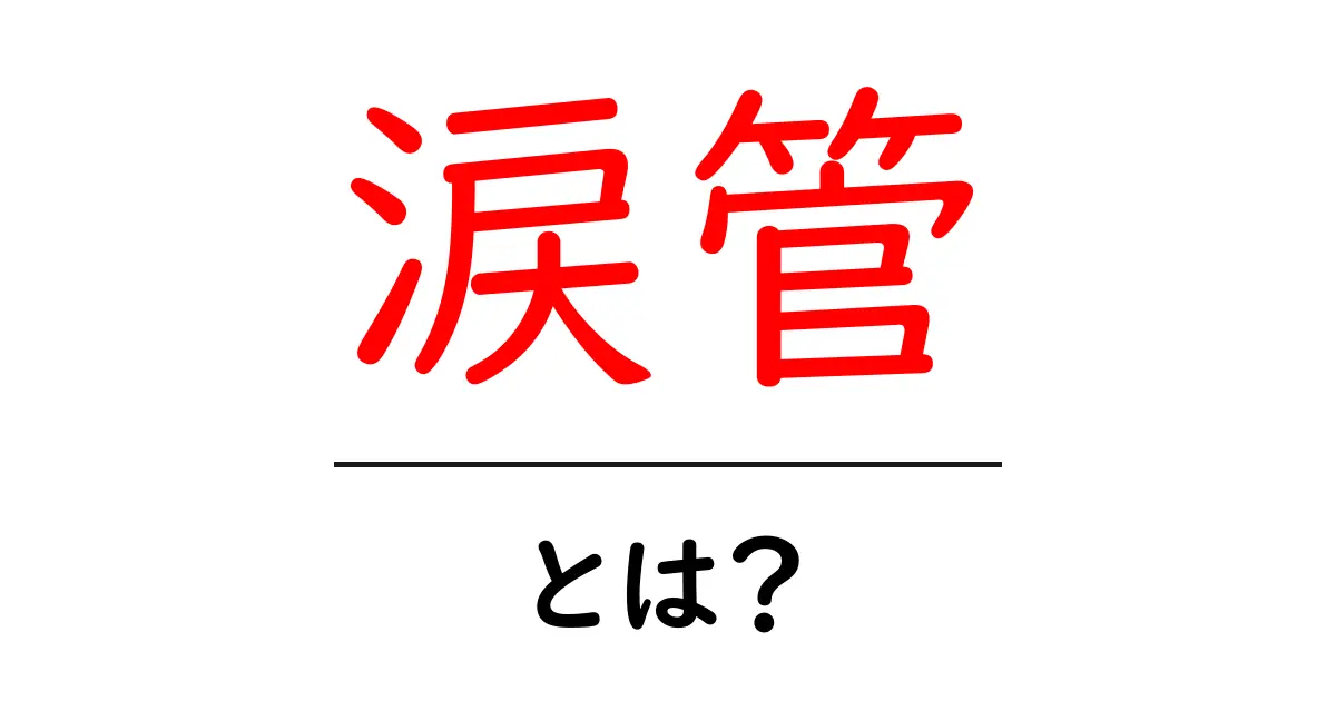 涙管とは?その役割と健康への影響を解説共起語・同意語も併せて解説!