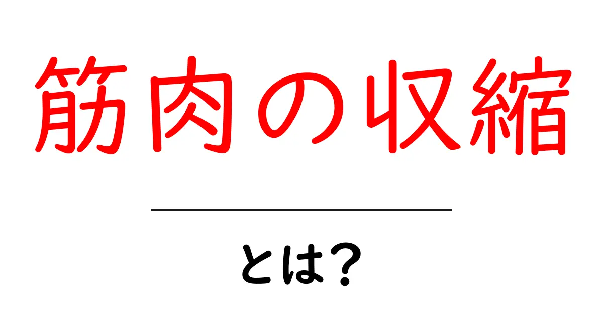 筋肉の収縮とは？その仕組みと重要性を分かりやすく解説！共起語・同意語も併せて解説！