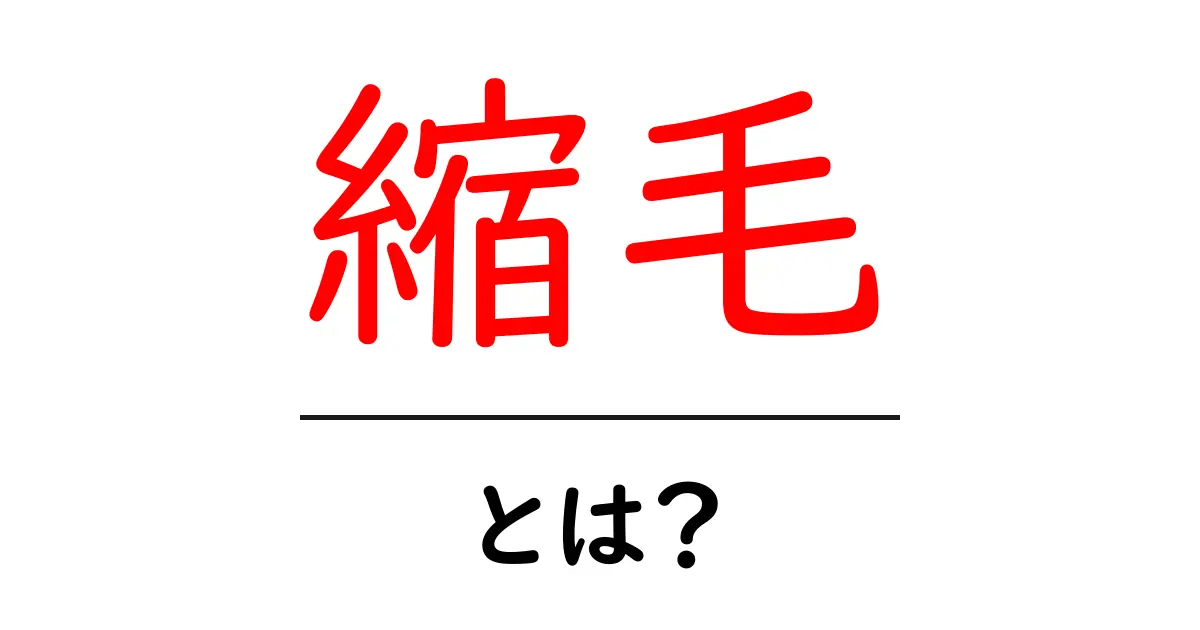 縮毛とは?その特徴とケア方法を解説!共起語・同意語も併せて解説!